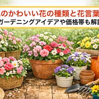 画像3900