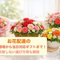 画像4083