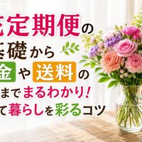 画像4753